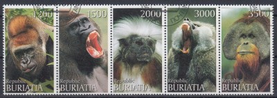 Rusia - Buriatia - MAIMUTE - CTO foto