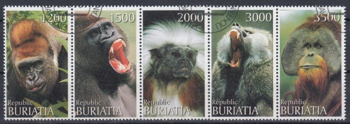 Rusia - Buriatia - MAIMUTE - CTO