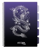 Caiet cu Spirala si Separatoare Strigo Pads Project Book DRAGON A4, Matematica, Mov