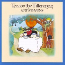 Cat Stevens Tea For The Tillerman remastered (cd) foto