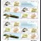 UCRAINA 2007, Fauna, Pasari, WWF, serie neuzata, MNH
