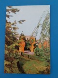 CPIB 23056 CARTE POSTALA - MEDGIDIA. IN PARCUL ORASULUI, NECIRCULATA