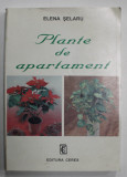 PLANTE DE APARTAMENT de ELENA SELARU , 1998