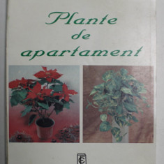 PLANTE DE APARTAMENT de ELENA SELARU , 1998