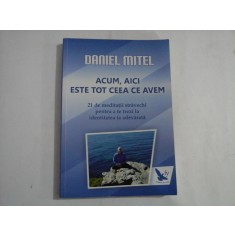 ACUM, AICI ESTE TOT CEEA CE AVEM (21 de meditatii stravechi pentru a te trezi la identitatea ta adevarata) - Daniel MITEL