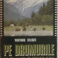 Vahtang Celidze - Pe drumurile Caucazului, 1990