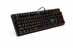 TASTATURA MECANICA SPACER USB WARRIOR, switch-uri mecanice foto