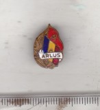 bnk ins Insigna ARLUS - Asociatia Romana pentru strangerea Legaturilor cu Uniunea Sovietica