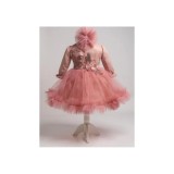 Cumpara ieftin Rochita Botez Ann, Roz - DPH32