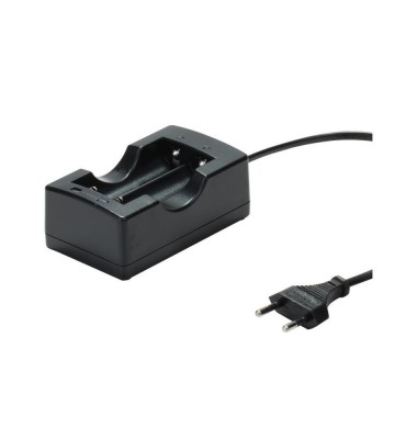 18650 Incarcator dual EU pentru baterii reincarcabile Li-ion foto