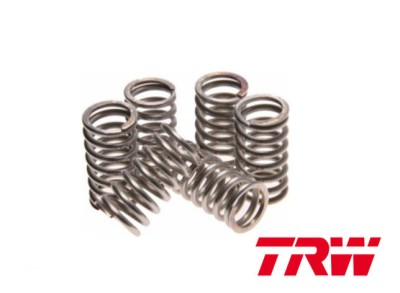 Set arcuri ambreiaj Yamaha WR 250 R 08- 14, WR 250 X 08- 14 foto