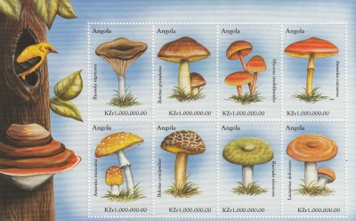 Angola 1999-Flora,Ciuperci,bloc 6 val, dantelate,MNH,Mi.1406-1413KB foto