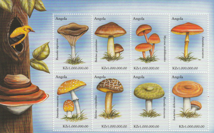 Angola 1999-Flora,Ciuperci,bloc 6 val, dantelate,MNH,Mi.1406-1413KB