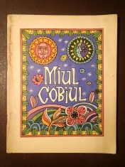 Miul Cobiul (ilustrații Val Munteanu; 1969) foto