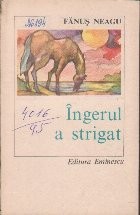 Ingerul a strigat - Roman foto