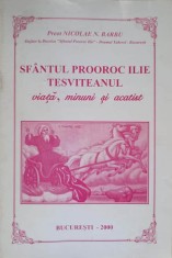 SFANTUL PROOROC ILIE TESVITEANUL VIATA, MINUNI SI ACATIST-PREOT NICOLAE N. BARBU foto
