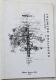 Cucerirea culmilor - Ciprian Vestemean 2006