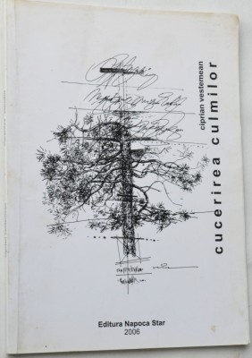 Cucerirea culmilor - Ciprian Vestemean 2006 foto