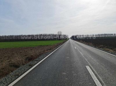 vanzare ferma agricola cu teren agricol la sosea,21 ha,cladiri,utilaje foto