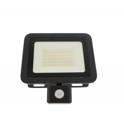Proiector LED cu senzor Well, 50 W, 4000 K, 4000 lm, IP44 foto