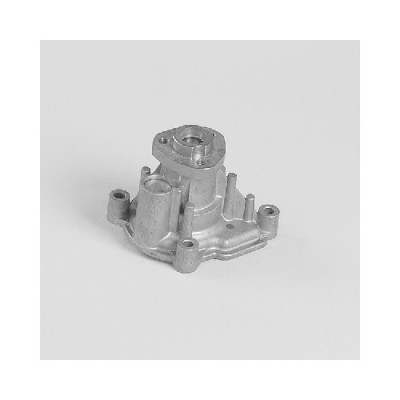 Pompa apa Hepu P581 foto