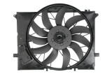 Ventilator, radiator MERCEDES-BENZ S-CLASS cupe (C215) (1999 - 2006) THERMOTEC D8M004TT