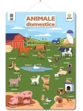 Cumpara ieftin Animale domestice/***