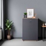 Cumpara ieftin Biblioteca Adore Rio, 2 usi cu cheie, 3 rafturi, 72 x 109 x 34 cm