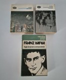Franz Kafka Pagini de jurnal / Procesul / Castelul