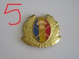 QW14 - Emblema militara / cuc - uscat - anii 1990 - piesa de colectie
