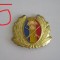 QW14 - Emblema militara / cuc - uscat - anii 1990 - piesa de colectie