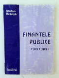 Finantele publice-cheltuieli/autor Stefan Branza/2002