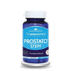 HERBAGETICA PROSTATO+ STEM FL* 60CPS VEGETALE