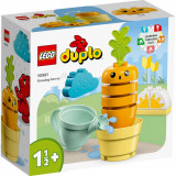 LEGO&reg; Duplo My First - Morcov care creste (10981)