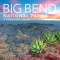 Big Bend: A Photographic Journey