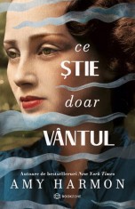 Ce stie doar vantul - Bookzone
