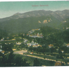 453 - SINAIA, Panorama, Romania - old postcard - used - 1909