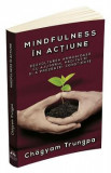 Mindfulness in actiune - Chogyam Trungpa