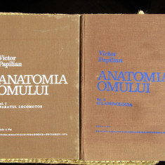 ANATOMIA OMULUI-VICTOR PAPILIAN 2 VOL