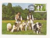 CA10 - Carte Postala - Ciobanesc Mioritic si Carpatin, circulata 1985