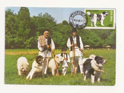CA10 - Carte Postala - Ciobanesc Mioritic si Carpatin, circulata 1985 foto