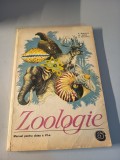 Zoologie clasa 6