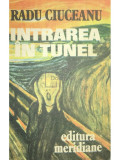 Radu Ciuceanu - Intrarea &icirc;n tunel (Memorii I) (editia 1991)