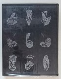 TIGANIADA de I. BUDAI DELEANU , Bucuresti 1967 , EDITIE SI GLOSAR DE J. BYCK , ILUSTRATII DE AUREL STOICESCU