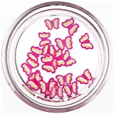 Cumpara ieftin Fimo Nail Art - fluturași tăiați, de culoare alb-roz, INGINAILS