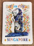 D5 - Magnet frigider - tematica turism - Singapore 3