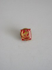 QW9 N2 32 - insigna - militar - medicina - Medicina militara