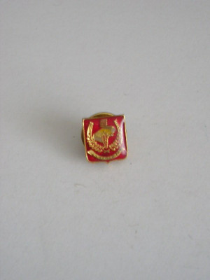 QW9 N2 32 - insigna - militar - medicina - Medicina militara foto