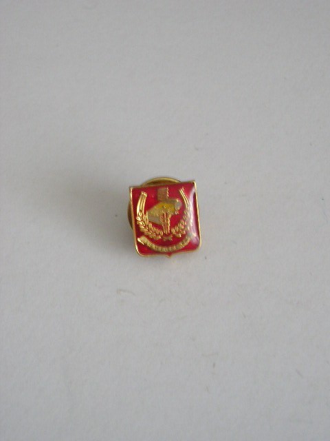 QW9 N2 32 - insigna - militar - medicina - Medicina militara