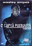 DVD Film: O lupta pierduta ( Wesley Snipes - vezi descriere )